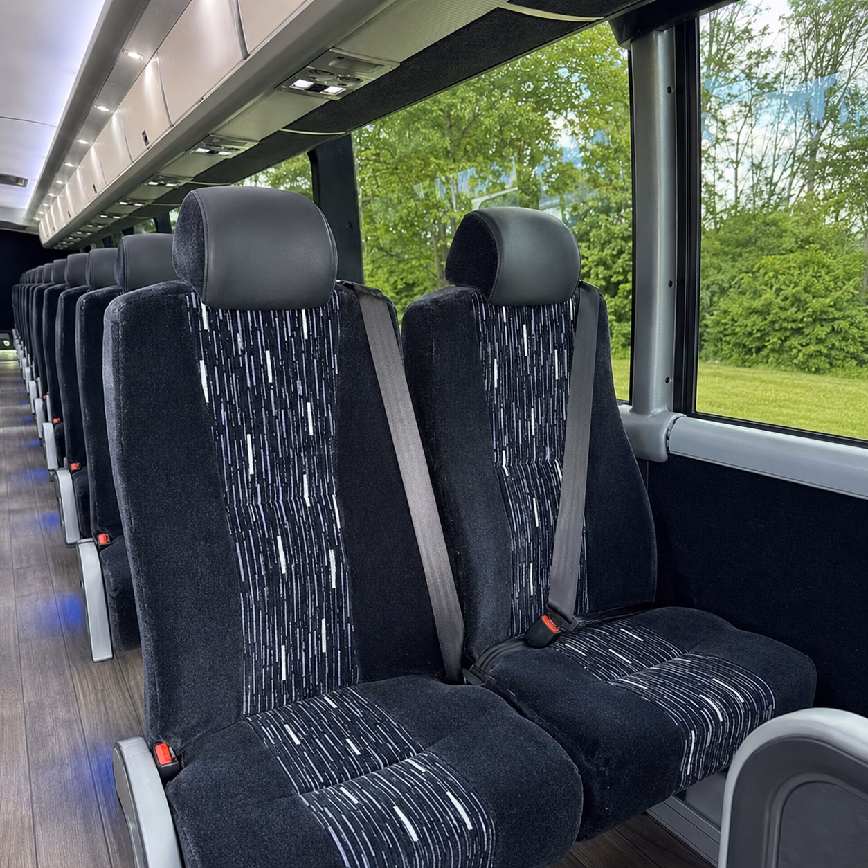 how the type of bus you choose changes the price in springfield massachusetts