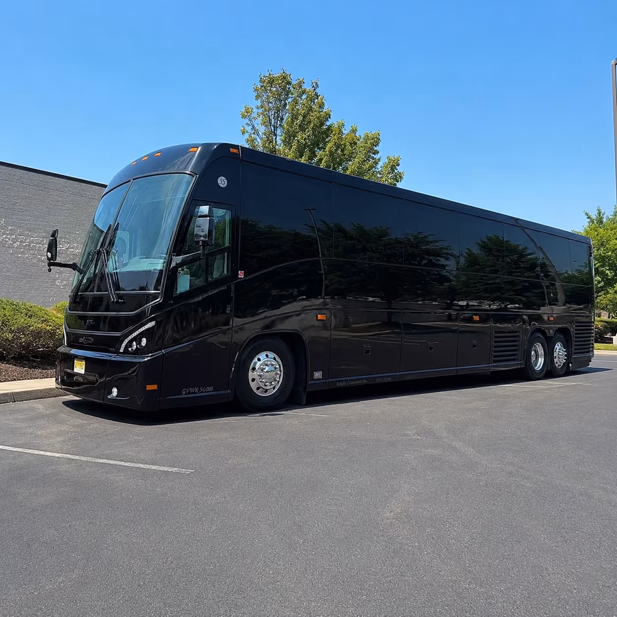 long distance bus trips from springfield to new york city